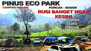 Pinus Eco park ‼️ Pinus Eco park camping ground ‼️Camping Nyaman Dingin di  Bogor ‼️ GUNUNG MAS