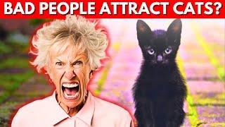 THIS IS WHY CATS SENSE BAD ENERGY | PEOPLE ATRACT CATS?