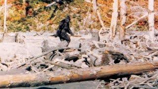 Christian Page - Bigfoot:le film Patterson-Gimlin