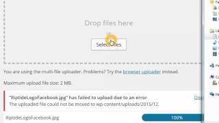 Wordpress error on Windows Server IIS has failed to upload due to an error