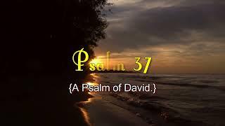 Psalm 37   Don't Fret Because of Evildoers  With words   KJV