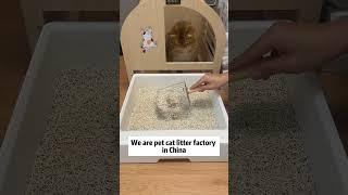 Cat litter factory, mixed cat litter china supplier. Cat litter factory price #cat #catlitter