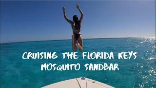 Discover Why Mosquito Bank Sandbar Key Largo is the Best of the Best in The Florida Keys