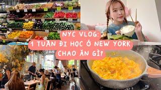 vlog: 1 tuần đi học ở New York Chao ăn gì? [du học sinh Mỹ] 