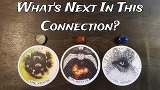  What's Next In This Connection?  Pick A Card Love Reading