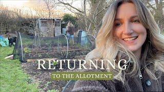 A PRODUCTIVE RETURN TO THE ALLOTMENT   Allotment Vlog UK