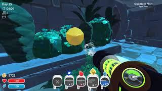 Quantum Gate Slime Rancher