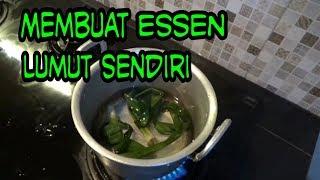 UMPAN NILA Membuat essen untuk lumut