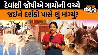 કાલે ગાયોને આફરો ચઢશે પણ પછી ગાય કેવી રીતે જીવશે?।Pathmeda | Jamawat