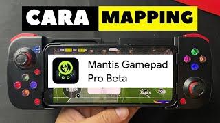 Cara Mapping Aplikasi Mantis Gamepad Pro pake Gamepad BSP D3