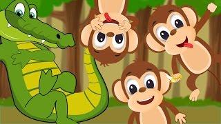 Five Little Monkeys Swinging In The Tree  | Five Little Monkeys Song | Nursery Rhyme With Lyrics