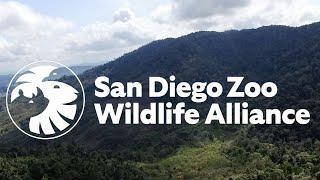 Introducing San Diego Zoo Wildlife Alliance