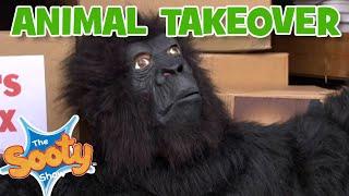 Animal Takeover   - @TheSootyShowOfficial   | 30+ mins | #compilation   | TV Show for Kids