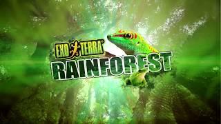 Exo Terra Rainforest