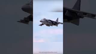 Harrier Shows Off During Last Performance