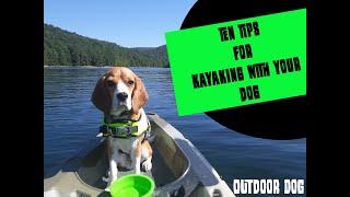 Ten Tips for Kayaking with Your Dog