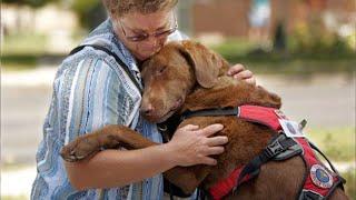 These Animals Don't Forget Their Owners After Years