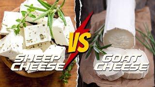 SHEEP CHEESE VS GOAT CHEESE: ULTIMATE DAIRY DELIGHT?