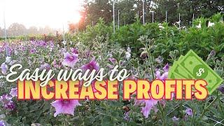 Grow Your Flower Farm Business with These Easy Money-Making Ideas!