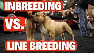 In-Breeding vs Line Breeding (Pros & Cons)