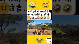 Hame Bhi Garmi Lagti Hai#comedy #funny #nagendra #joytimisty #youtubeshorts #ytshorts #feedshorts