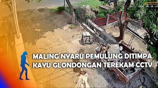 MAGETAN - Maling Nyaru Pemulung Ditimpa Kayu Glondongan Terekam CCTV