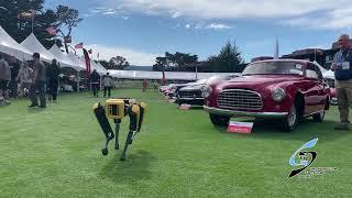 Spot with the Fast Cars, Mecum Monterey Car  Auction, 2023