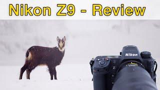 Nikon Z9: Überbewertet oder ein Game-Changer für die Tierfotografie? REVIEW