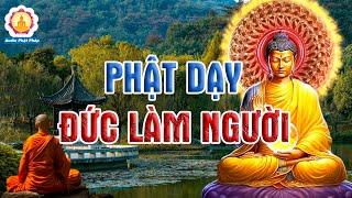 Người Càng Tham Càng Tạo Nghiệp, Lời Phật Dạy Về Đạo Đức Làm Người Ai Cũng Nên Nghe 1 Lần