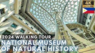 FULL Tour at NATIONAL MUSEUM OF NATURAL HISTORY [4K] Manila Philippines - June 2024