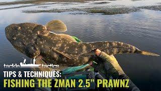 ZMan 2.5" PrawnZ - How to Catch Bream and Flathead on Soft Plastics