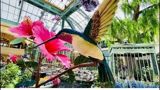 Bellagio Conservatory debuts its Springtime 2021 Display