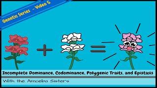 Incomplete Dominance, Codominance, Polygenic Traits, and Epistasis!