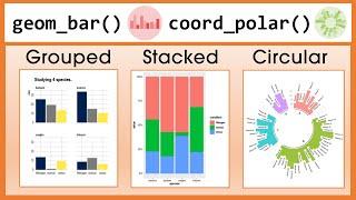 Advanced Bar Chart in R Tutorial: Grouped, Stacked, Circular (R Graph Gallery)