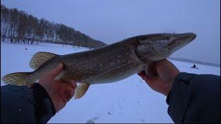 Зимняя Рыбалка!!!!! Рыбалка На Можайском Водохранилище 2020-2021