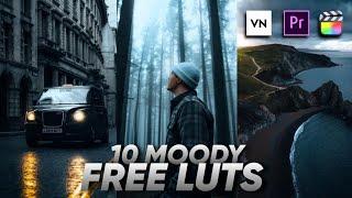 10 Free Moody Luts | VN Luts | VN Editor Luts | Premiere Pro | Colour Grading In Mobile | Cinematic