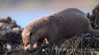 Outdoor Activities with Scott MacKenzie - Skye Gamekeeper at Fearann Eilean Iarmain - Isle of Skye