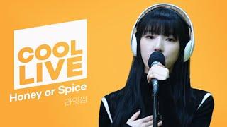 쿨룩 LIVE ▷ LIGHTSUM(라잇썸) 'Honey or Spice' 라이브 / [데이식스의 키스 더 라디오] | KBS 231014 방송