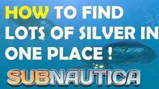 Subnautica how to find lots of silver!