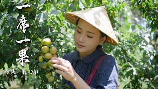 Kompilasi Buah 2 | Jeruk bali, alpukat, lemon, kelapa, apel... rasa manis dan asam dari Yunnan