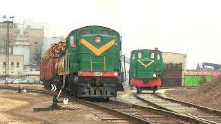 Тепловозы ТГМ23-1676 и ТГМ4А-1134 1 / TGM4A-1134 and TGM23-1676 shunters 1