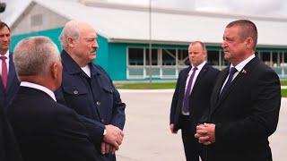 Лукашенко: Тяжёлый случай! Я ему про цену комплекса – он мне про робота!