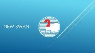 NEWSWAN GROUP