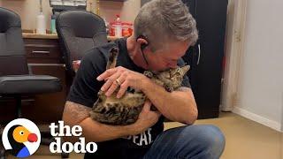 This Cat Is An Actual Miracle | The Dodo