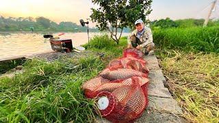 Tiếp tục thử nghiệm BÀI MỒI MỚI câu CÁ CHÉP