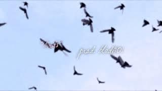 FREE | "birds" emotional acoustic indie rock | lil peep type beat