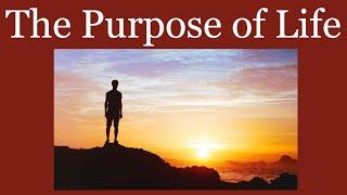 Father Mike Schmitz - The Purpose of Life