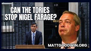 MATT GOODWIN: Can The Tories STOP Nigel FARAGE ?