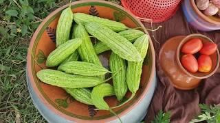 Stuffed karela | bharwa karela Desi Food |Village Style cooking| MY Village Food Secrets