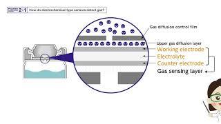 【FIGARO】How do electrochemical-type sensors detect gas?